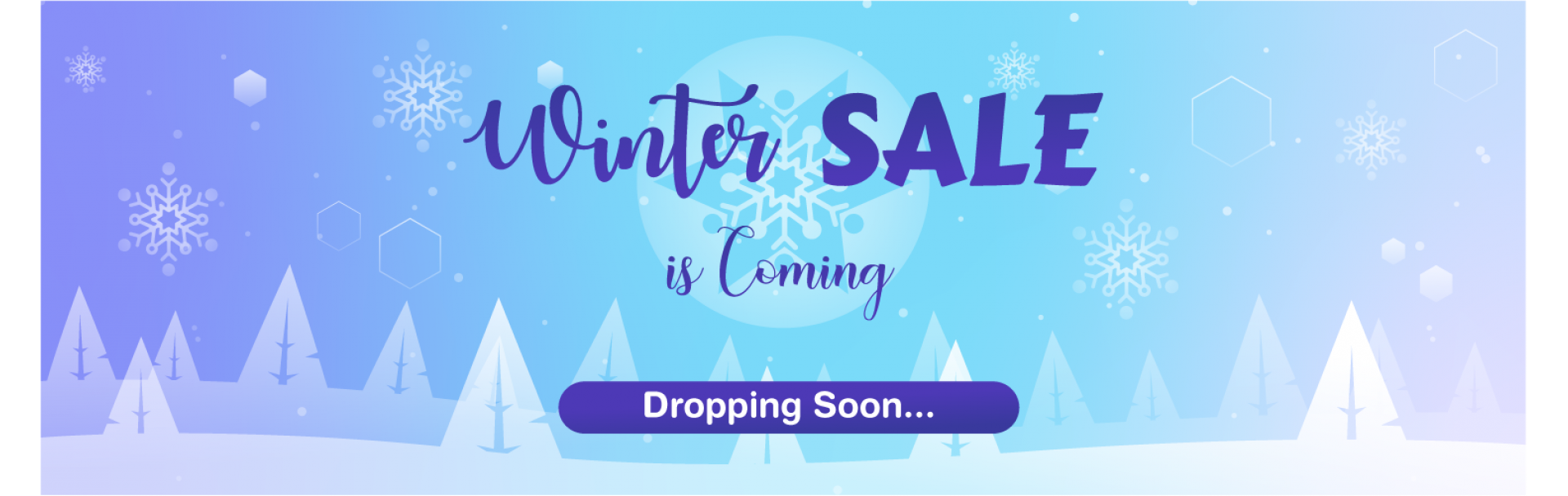 winter sale